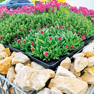 bellissa - Gabionen Mähroboter-Garage - 97296 - Bepflanzbare Rasenmäher-Garage mit Pflanzschale - 75x75x53 cm - 9