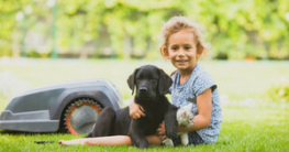 maehroboter gefaehrlich