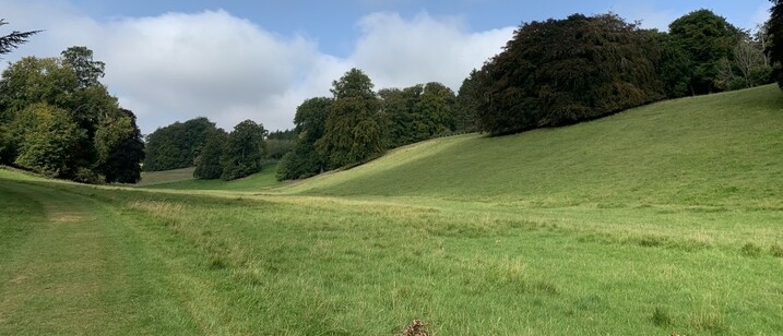 maehroboter hanglage