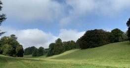 maehroboter_hanglage