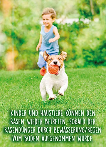 Substral Naturen 6in1 Komplett Rasendünger, mit Sofort und Langzeitwirkung mit Extra Kalk und Kalium, 270 m², 20 kg - 6