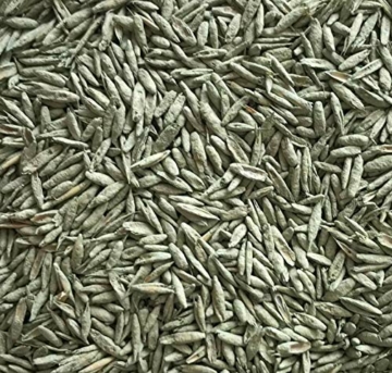 Substral Rasensamen Sport und Spiel, strapazierfähige Rasensaat-Mischung mit Grünfärbung gegen Vogelfraß, 2kg, 100m² - 2