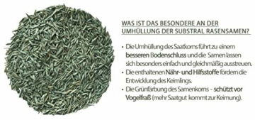 Substral Rasensamen Sport und Spiel, strapazierfähige Rasensaat-Mischung mit Grünfärbung gegen Vogelfraß, 2kg, 100m² - 3
