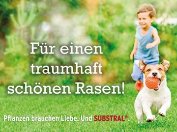 Substral Rasensamen Sport und Spiel, strapazierfähige Rasensaat-Mischung mit Grünfärbung gegen Vogelfraß, 2kg, 100m² - 4