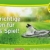 Substral Rasensamen Sport und Spiel, strapazierfähige Rasensaat-Mischung mit Grünfärbung gegen Vogelfraß, 2kg, 100m² - 9