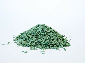 Substral Rasensamen Sport und Spiel, strapazierfähige Rasensaat-Mischung mit Grünfärbung gegen Vogelfraß, 2kg, 100m² - 10