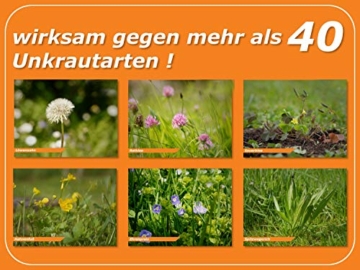 Celaflor Rasen-Unkrautfrei Weedex, Unkrautvernichter zur Bekämpfung von Unkräutern im Rasen, 400ml Konzentrat - 2