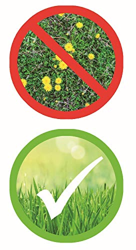 Celaflor Rasen-Unkrautfrei Weedex, Unkrautvernichter zur Bekämpfung von Unkräutern im Rasen, 400ml Konzentrat - 5