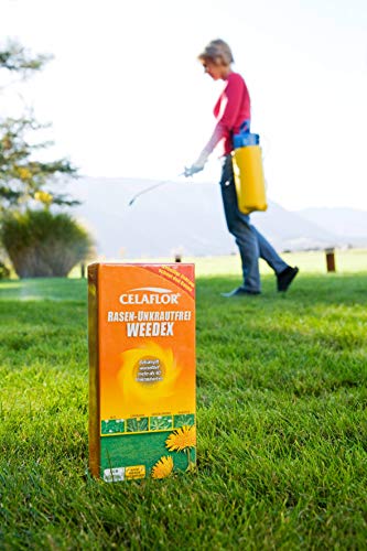 Celaflor Rasen-Unkrautfrei Weedex, Unkrautvernichter zur Bekämpfung von Unkräutern im Rasen, 400ml Konzentrat - 6